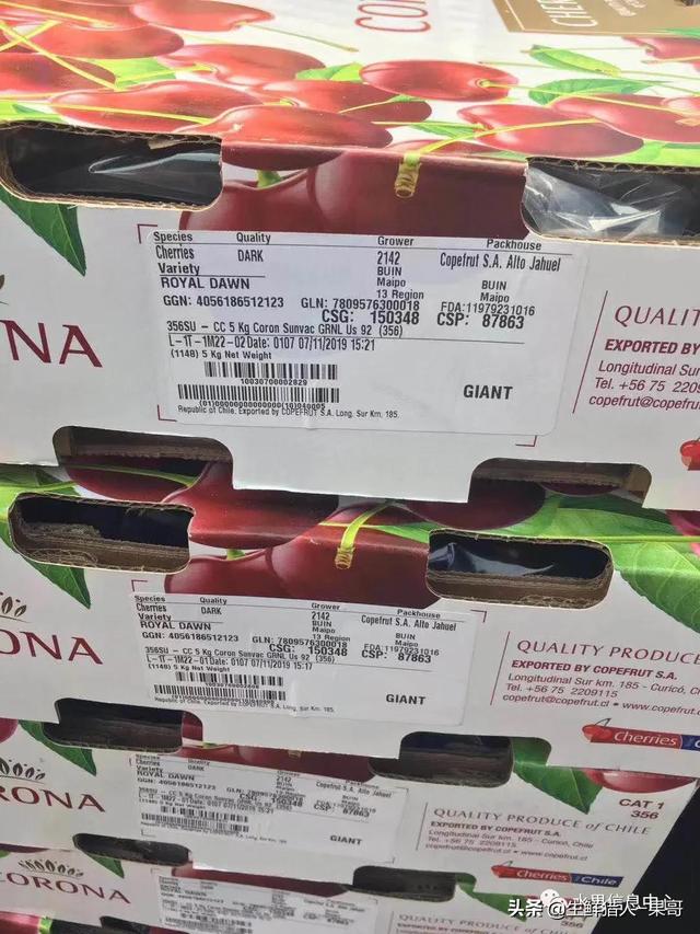 车厘子等级对照表图（车厘子箱标科普及常见车厘子国家产季表）(14)