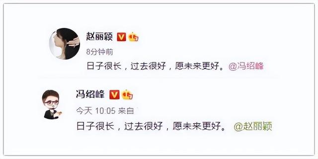 赵丽颖冯绍峰在一起的真正原因（再看赵丽颖与冯绍峰现状）(18)