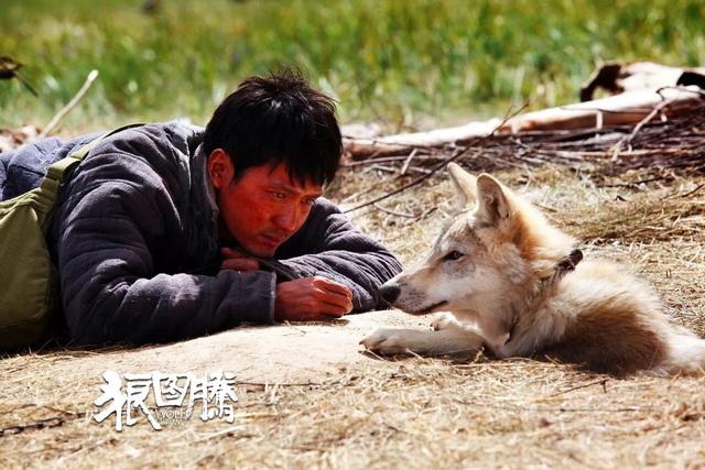 赵丽颖冯绍峰在一起的真正原因（再看赵丽颖与冯绍峰现状）(23)