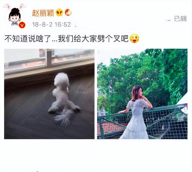赵丽颖冯绍峰在一起的真正原因（再看赵丽颖与冯绍峰现状）(15)