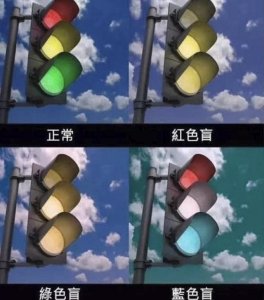 ​红绿色盲测试图考驾驶证（车管所色盲测试图及答案）