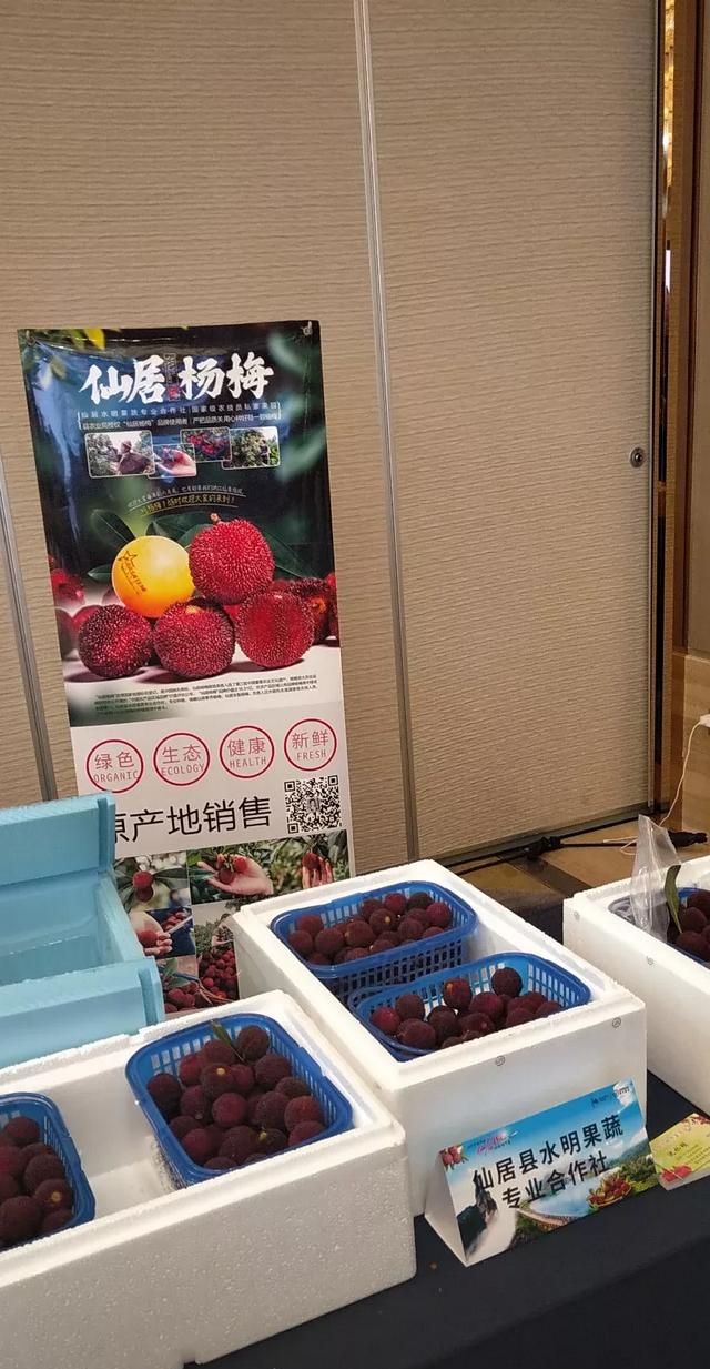 杨梅什么时候成熟,龙海杨梅什么时候成熟?图4