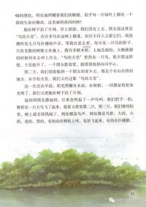 ​鸟的天堂课文原文（语文课文鸟的天堂）