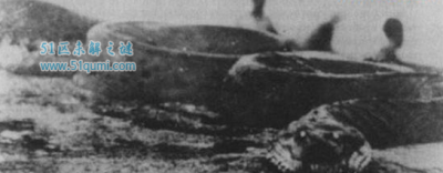 ​1936年在江苏射阳创造大蛇 到底大蛇存留吗?