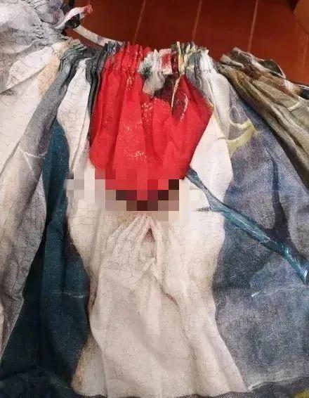 江南布衣童装图案事件处理（知名江南布衣屡犯辱华）(2)