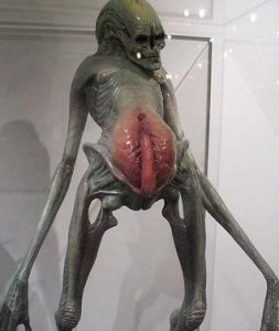 ​外太空果然有外星人吗?揭秘神奇孤立旗号规划