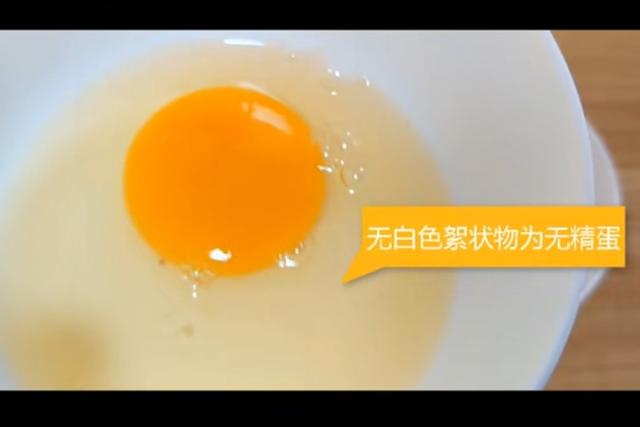 怎样从外观辨别土鸡蛋 一招教你辨别真假土鸡蛋(2)