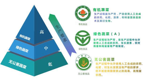 适合种植的有机蔬菜（有机蔬菜比普通的更有营养）(7)