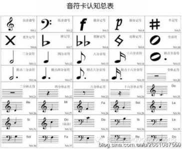 ​零基础自学古筝怎么学（碧泉古筝每日一学）