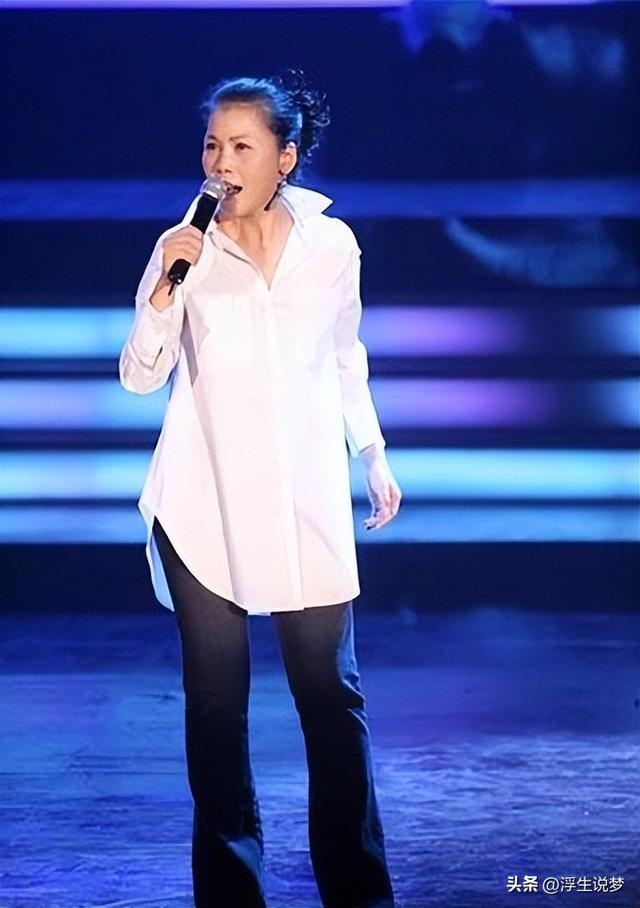 田震和那英的成绩比较（22年后再看那英田震各自的境遇）(40)