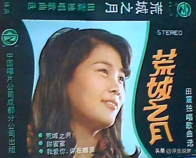田震和那英的成绩比较（22年后再看那英田震各自的境遇）(13)