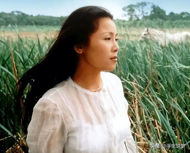 田震和那英的成绩比较（22年后再看那英田震各自的境遇）(26)
