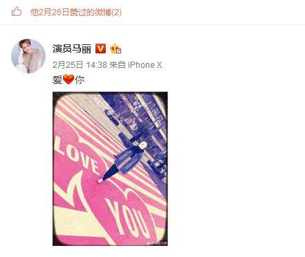 马丽公开恋情了吗（37岁马丽官宣怀孕）(14)