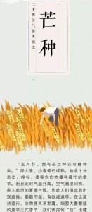​芒种的含义是什么,芒种是什么季节的节气什么意思