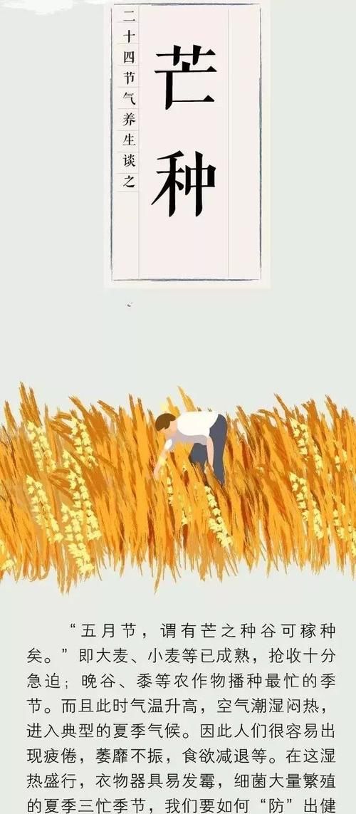 芒种是什么季节的节气什么意思