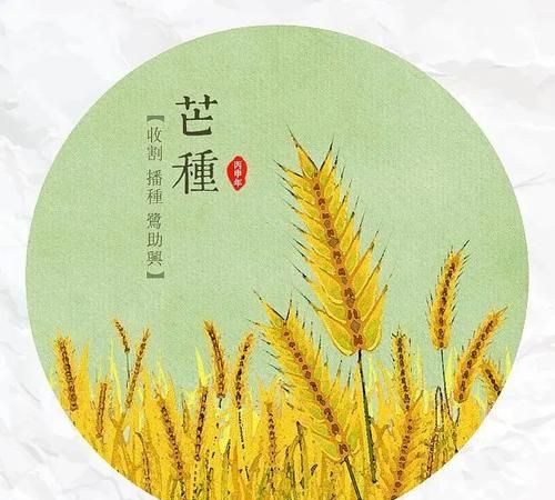 芒种的内涵是什么