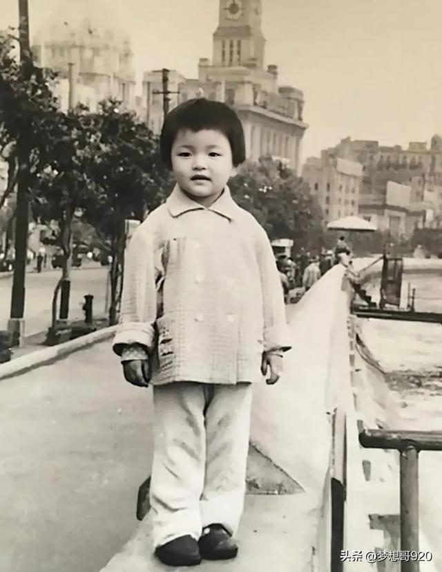 刘晓庆现今几岁（刘晓庆嫁了几个老公）(3)