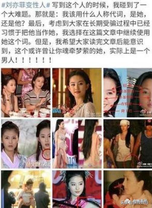 罗嘉良被子弹打死而复生（罗嘉良患肝癌已留遗言）(33)