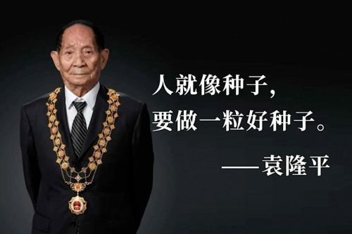 袁隆平生平简短简介200字  袁隆平生平简短简介20字-第1张图片-