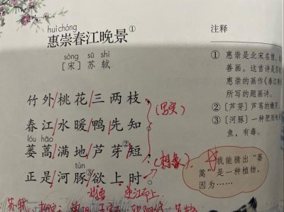 ​惠崇春江晚景古诗及译文（惠崇春江晚古诗介绍）
