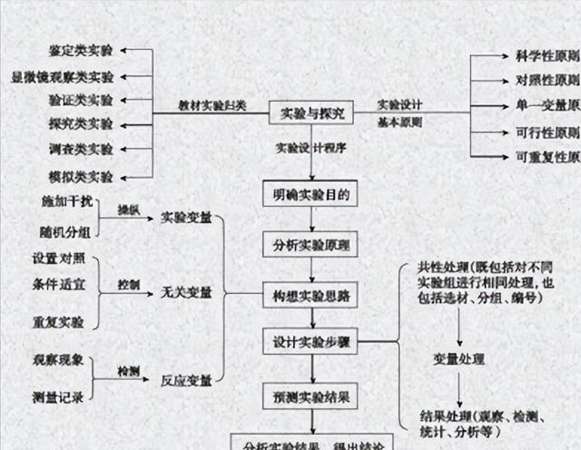 生物学习方法高中（高中生物的6种学习方法）(5)