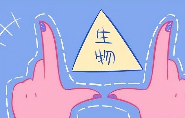 生物学习方法高中（高中生物的6种学习方法）(6)