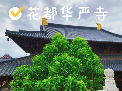 ​花都华严寺介绍（花都华严寺简单介绍）