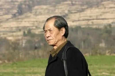 ​白鹿原真实的历史结局细思极恐（一部被低估的文学作品）