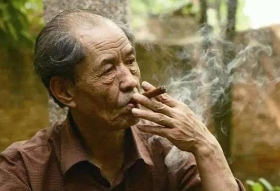 白鹿原真实的历史结局细思极恐（一部被低估的文学作品）(6)