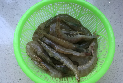 海鲜虾怎么做好吃,虾是我们餐桌上最常见的海鲜英语图29