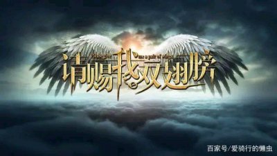​林九歌是什么电视剧(请赐我一双翅膀:大结局)