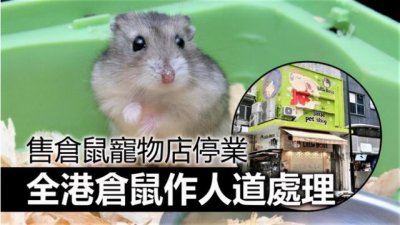​仓鼠是否有鼠疫病毒（香港出现全球首例仓鼠染Delta病毒）