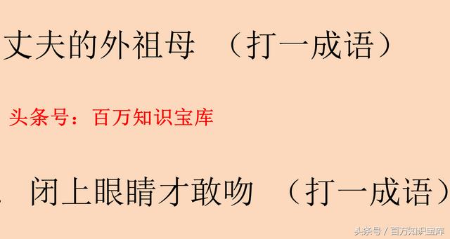 猜字谜岳父大人打一字（猜谜语丈夫的外祖母）(2)