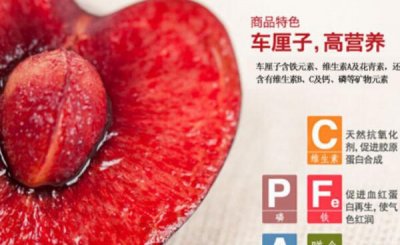 ​车厘子和樱桃的养分辨别，车厘子含铁量更高（二者长的很像）