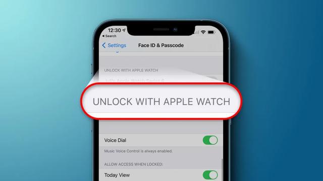 新的iphone可以指纹解锁吗(戴口罩能解锁iPhone了)(5)