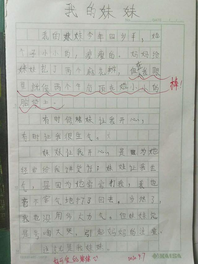 小学生周记的正确格式怎么写(二年级小学生周记)(5)