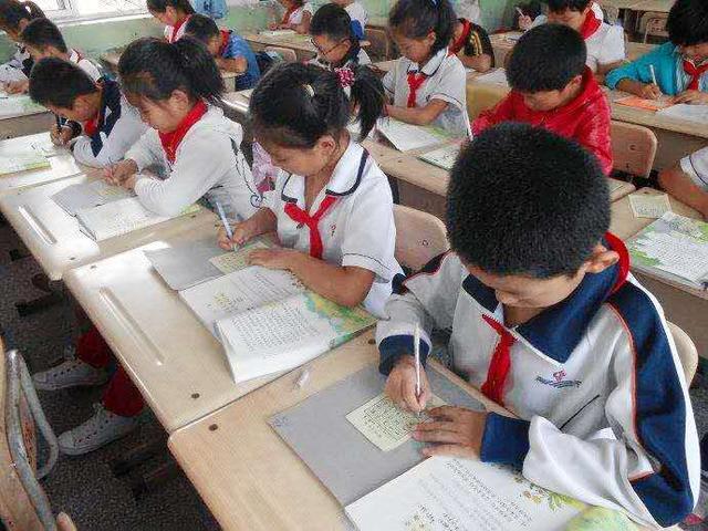 小学生周记的正确格式怎么写(二年级小学生周记)(6)