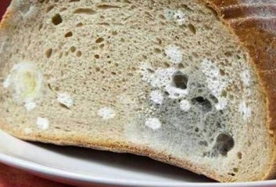 ​稍微发霉的面包能吃吗 发霉面包没有要吃作用身材
