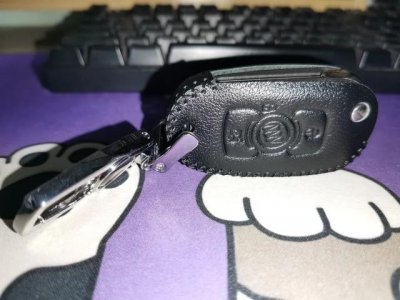 ​车钥匙有必要买个套吗（给车钥匙选保护套）