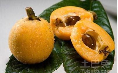 枇杷果煮水止咳化痰放冰糖还是放蜜好