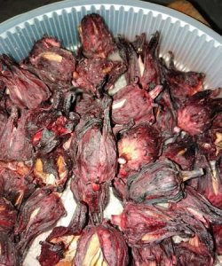 ​新鲜玫瑰茄要怎么晒干,玫瑰茄怎么吃 新鲜玫瑰茄的吃法视频