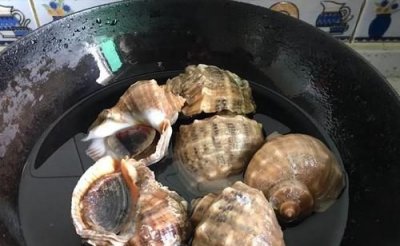 ​螺要煮多久才熟,螺蛳肉要煮多久才熟