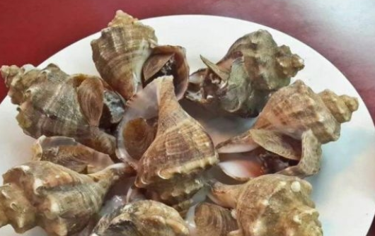 螺要煮多久才熟,螺蛳肉要煮多久才熟图4