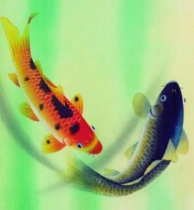 ​年年有余的鱼寓意是什么，年年有鱼是什么意思？