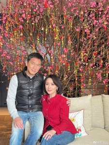 ​刘嘉玲和梁朝伟都是人精