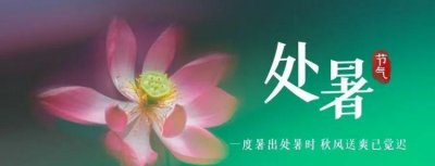 ​处暑是什么意思 ，“处暑”是什么意思？