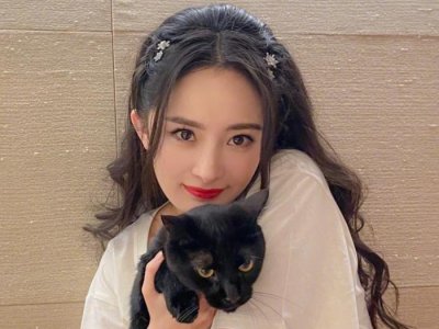 ​杨幂演的现代剧有哪些，杨幂现代剧定档