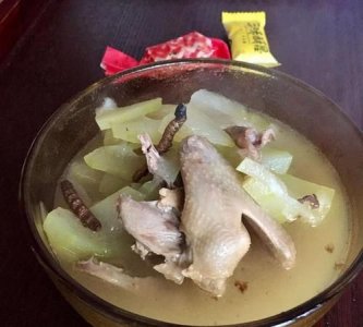 ​鸽子汤能放冬瓜吗，鸽子汤可以放白萝卜吗？