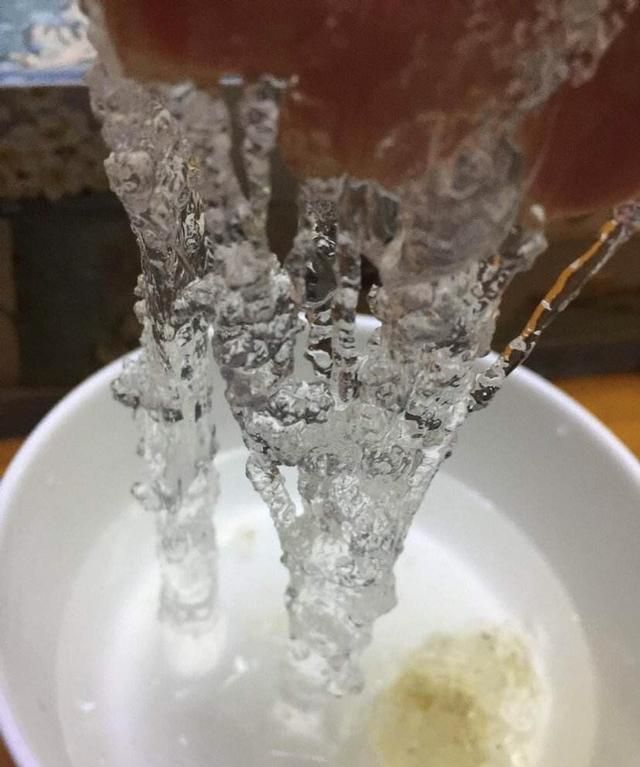 雪燕泡了两天还可以吃吗，雪燕泡在水里面为什么会变大？图5