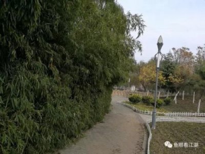 ​罗成娶了多少个老婆(罗成怎么损寿的)